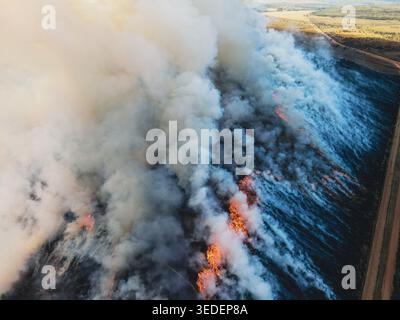 Aus der Vogelperspektive auf ein großes Waldfeuer mit dickem Rauch und orangen Flammen, das sich über die trockene Landschaft in der Nähe einer unbefestigten Straße im Waterberg District Municipal ausbreitet Stockfoto