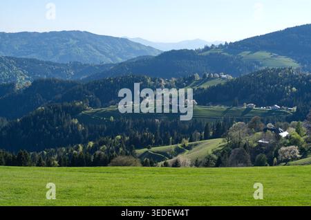Panoramablick auf ein malerisches Bergtal mit üppigen grünen Feldern, traditionellen Häusern und dichten Nadelwäldern unter klarem Himmel. Stockfoto