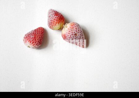 Drei gefrorene Erdbeeren auf einem weißen Tisch, frische rote Beeren mit eiskalter Textur, gesundes Fruchtkonzept, Bio-Erdbeeren, minimalistisches Essen Stockfoto