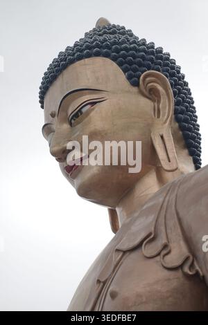 Nahaufnahme der Statue des Großen Buddha Dordenma in den Bergen mit Blick auf Thimpu, Bhutan Stockfoto