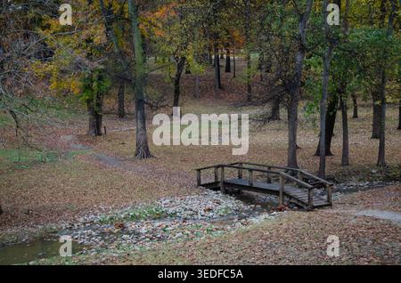 Eine kleine Holzstege überquert einen flachen Bach in einem friedlichen Park, umgeben von Bäumen mit lebhaftem Herbstlaub. Gefallene Blätter bedecken den Boden, Stockfoto