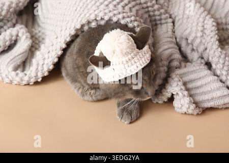 Niedliche Katze mit gestricktem Hut mit Karo auf beigem Hintergrund, Nahaufnahme Stockfoto