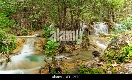 Kleine kaskadierende Wasserfälle in einem üppigen Wald mit türkisfarbenem Wasser und langer Exposition Stockfoto