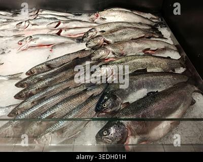 Frische Fischsorten wie Brassen, Wolfsbarsche und gestreifte Arten werden auf zerstoßenem Eis in einer Marktfischtheke gezeigt, was Frische zeigt. Stockfoto