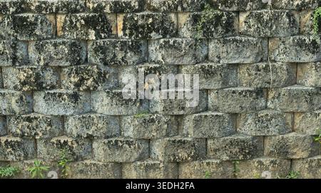 Alte Steinmauer bedeckt mit Moos und Flechten Stockfoto