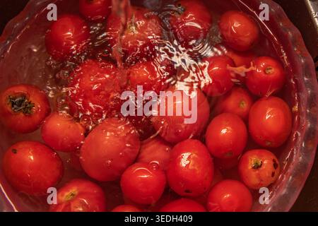 Frische rote Tomaten waschen in Wasser vor der Zubereitung hausgemachter Soße Stockfoto