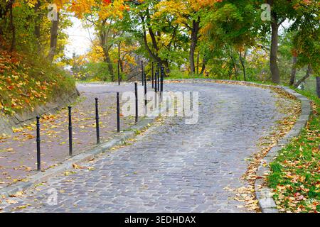 Ein historischer Kopfsteinpflasterweg führt durch einen Park oder ländliche Gegend, die mit lebhaftem Herbstlaub und verstreuten Blättern geschmückt ist Stockfoto