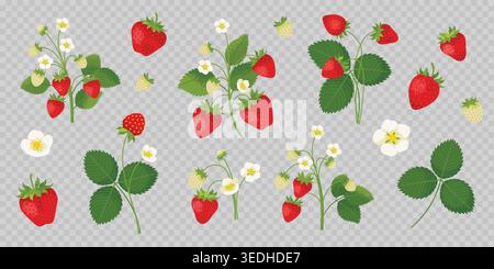 Erdbeervektor mit Beeren, Blumen und Blättern in einem handgezeichneten Stil. Stock Vektor
