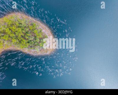 Eine atemberaubende Drohne über der Decke, die eine lebendige grüne Landmasse erfasst, umgeben von spukenden, blattlosen Baumskeletten, die aus tiefblauem Wasser ragen Stockfoto