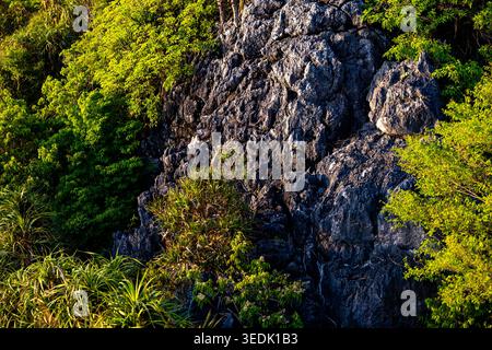 Majestätische Felsenklippe aus dunklem Kalkstein, bedeckt mit lebhaftem grünen Baumbewuchs im dichten tropischen Wald Thailands, die ein friedliches und ruhiges Naturgefühl vermittelt Stockfoto