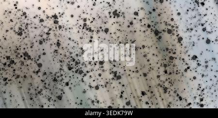 Ein abstrakter künstlerischer Hintergrund mit verstreuten schwarzen Tintentröpfchen und subtilen diagonalen strukturierten Streifen auf einer weichen, hellen Oberfläche. Stockfoto