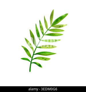 Tropische Blätter und Landschaftselemente, isolierte Aquarellillustration. Exotische grüne Pflanzen, handgezeichnet für Postkarten und Verpackungen. Stockfoto