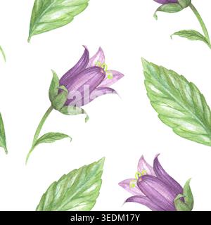 Nahtloses Muster der Blüten und Blätter der Blauglocke. Wiesenblume Aquarellillustration. Handgefertigte Kunstwerke. Für Verpackungsdesign, Karten Stockfoto