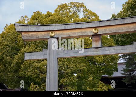 Detail des großen Torii-Tors am Meiji-Schrein, Shinto-Schrein, der Kaiser Meiji und Kaiserin Shoken gewidmet ist. Shibuya, Tokio, Japan. Stockfoto