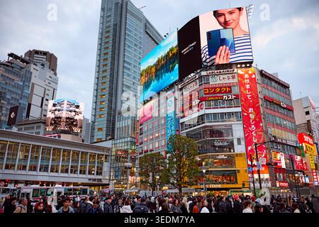 Gebäude an der berühmten Shibuya Scramble Crossing beleuchtet in der Abenddämmerung. Shibuya, Tokio, Japan. Stockfoto