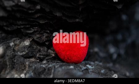 Rotes Herz auf verkohlter Holzstruktur Stockfoto