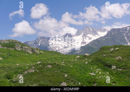 Schneebedeckte Gipfel und grüne Hügel im Mont Blanc-Massiv bei Chamonix, Frankreich, an einem klaren Sommertag. Stockfoto