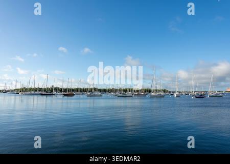 Zahlreiche Segelboote ankern im ruhigen blauen Wasser einer tropischen Bucht unter klarem Himmel in Miami, USA. Stockfoto