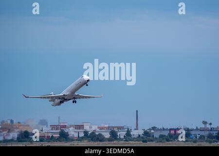 Passagierjet, der über den Stadtrand mit Palmen steigt Stockfoto