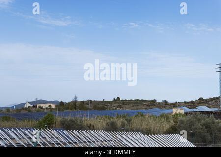 Solarpaneele bedecken sanfte Felder und Hügel unter einem klaren blauen Himmel und bilden eine große Photovoltaik-Farm, die sauberen, nachhaltigen Strom erzeugt Stockfoto