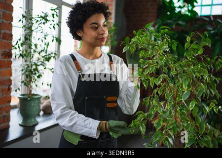 Eigene Geschäfte führen. Afrikanische Floristin mit Schürze, die sich um Pflanzen im botanischen Laden kümmert. Glücklicher Besitzer eines kleinen Unternehmens, der in einem Blumenladen arbeitet, lächelnd umgeben von Pflanzen, Kleinunternehmen Stockfoto
