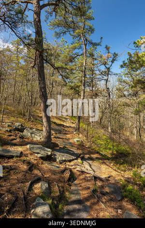 Wanderweg im Seven Tubs Recreation Area in der Nähe von Wilkes-Barre, mit Waldwegen entlang des Wheelbarrow Run und Laurel Run Bächen mit felsigem Gelände, Stockfoto