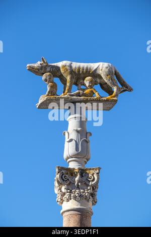 Statue des Kapitolinischen Wolfes mit Romulus und Remus in Siena Toskana vor dem klaren blauen Himmel Stockfoto
