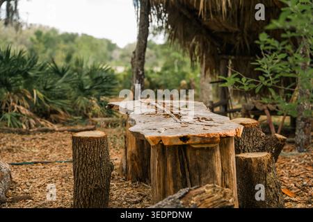 Handgefertigter Picknicktisch im Freien und geschnittene Baumstumpfsitze, die direkt vor einem traditionellen Strohdach in einem Wald sitzen. Stockfoto