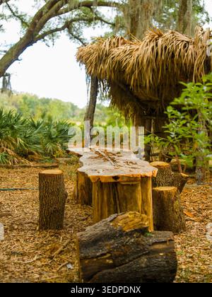 Verwitterter Holzplatten-Tisch und Holzbaumstumpfhocker in der Nähe einer rustikalen Strohdachhütte in einem üppig grünen südlichen Wald. Stockfoto