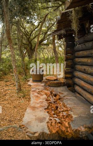 Rustikaler Holzlagertisch mit einem Vintage-Eimer und Schneidebrettern aus rohem Holz, der in der Nähe einer traditionellen Blockhütte in einem südlichen Waldgebiet platziert ist. Stockfoto