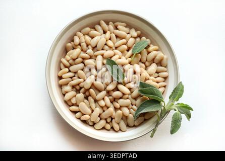 Nahaufnahme von gekochten weißen Bohnen in einer Schüssel mit frischem Salbei, gesundes pflanzliches Protein isoliert auf weißem Hintergrund. Mediterranes Ernährungskonzept. Stockfoto