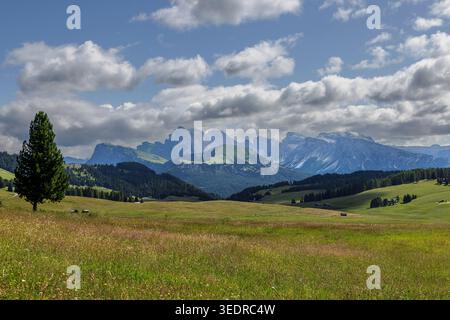Blick von der Seiser Alm auf die Geisler Gruppe in den Dolomiten, Südtirol, Italien. Stockfoto
