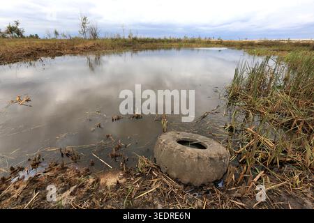 Ein alter, verwitterter Reifen liegt teilweise im flachen Wasser eines sumpfigen Gebiets, umgeben von Schilf und Trümmern unter einem bewölkten Himmel Stockfoto