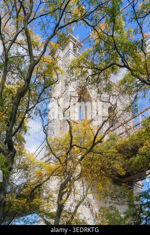 Blick auf die brooklyn Bridge hinter Bäumen im Herbst in New york City Stockfoto