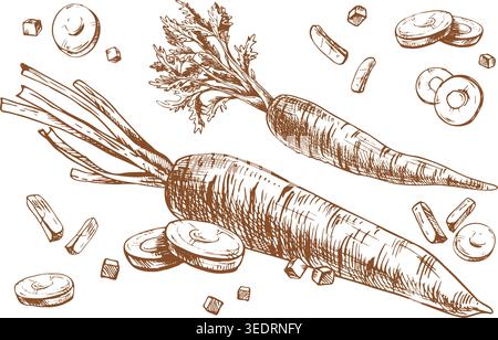 Handgezeichnete Karotten-Illustration in Stift- und Tintenlinien-Art-Stil. Einfarbige Gemüseskizze zum Kochen von Rezepten, Bauernernte, Lebensmitteletiketten, Lebensmitteln Stock Vektor