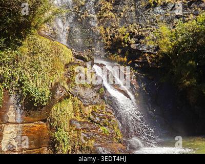 Der Wasserfall fließt über Felsen im Himalaya, mit lebendigem Grün rund um die Szene Stockfoto