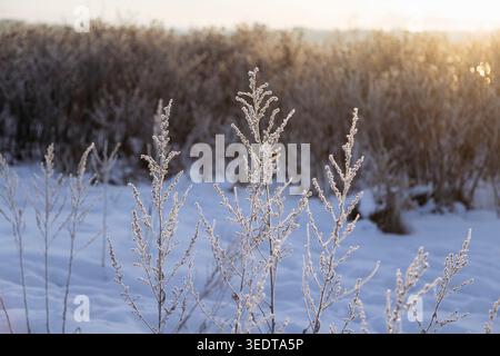 Stockfoto