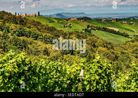 Ein malerischer Blick auf die sanften Hügel und üppigen Weinberge entlang der Südsteirischen Weinstraße in Österreich, mit traditionellen Häusern auf den Hügeln unter leicht bewölktem Himmel. Stockfoto