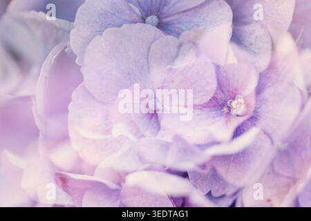 Stockfoto