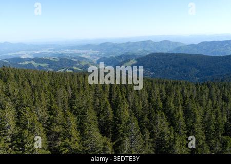 Ein atemberaubender Panoramablick auf dichten immergrünen Wald, der sich über Berghügel unter einem hellblauen Himmel erstreckt. Das Bild erfasst die Harmonie von na Stockfoto