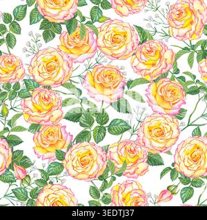 Nahtloses Aquarellmuster mit gelben rosa Rosen, gypsophila-Blüten und grünen Blättern auf weißem Hintergrund. Botanische Blumenillustration Stockfoto