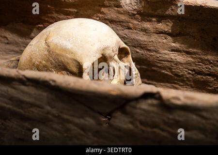 Schädel und Knochen im verruchten Holzsarg. zoroastrischer Ossuar Stockfoto