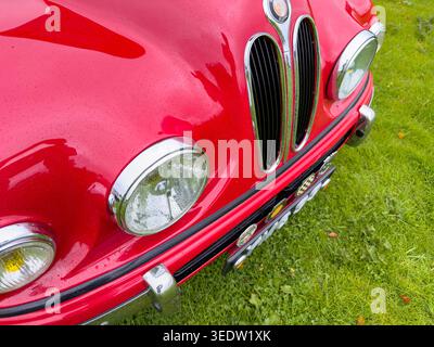 Nahaufnahme einer roten Bristol 403 Oldtimerfront mit Kühlergrill und Scheinwerfern auf grünem Gras Stockfoto