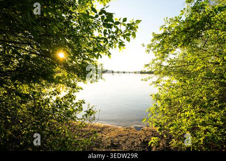 Blick auf den Elbsee und die umliegende Landschaft. Idyllische Natur am See bei Sonnenuntergang bei Düsseldorf. Stockfoto