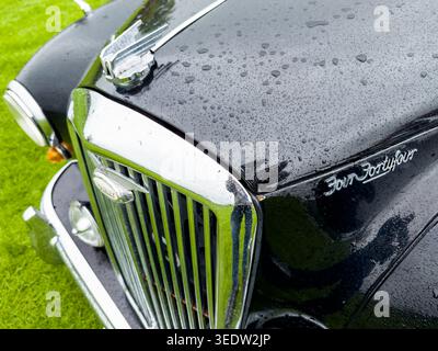 Nahaufnahme eines schwarzen Wolseley Four Forty-Four-Vierundvierzig-Autos mit Regentropfen auf der Motorhaube und verchromtem Kühlergrill Stockfoto