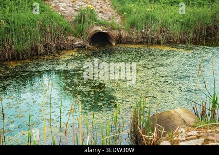 Betonabflussrohr, das Abwasser in einen mit Grünalgen und Ablagerungen gefüllten, kontaminierten Bach leitet. Begriff der Umweltverschmutzung und Ur Stockfoto