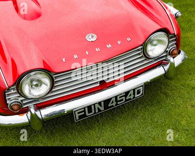 Nahaufnahme eines roten Triumph TR4-Sportwagens mit verchromtem Kühlergrill und Stoßfänger, der auf grünem Gras geparkt ist Stockfoto