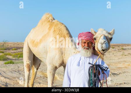 Ein omanischer Mann in traditioneller Kleidung mit seinem Dromedar in Ras al Hadd im Sultanat Oman Stockfoto