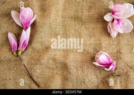 Rustikaler Hintergrund mit Magnolienblüten und natürlicher Textur. Stockfoto