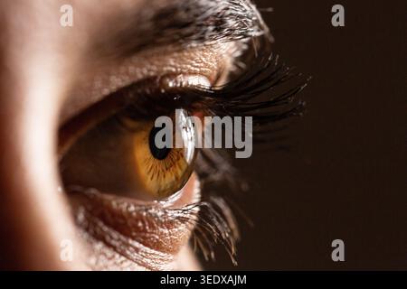 Makroaufnahme eines braunen menschlichen Auges und der Wimpern mit Detailansicht der Iris Stockfoto